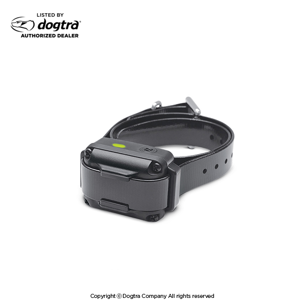 Dogtra iq outlet collar